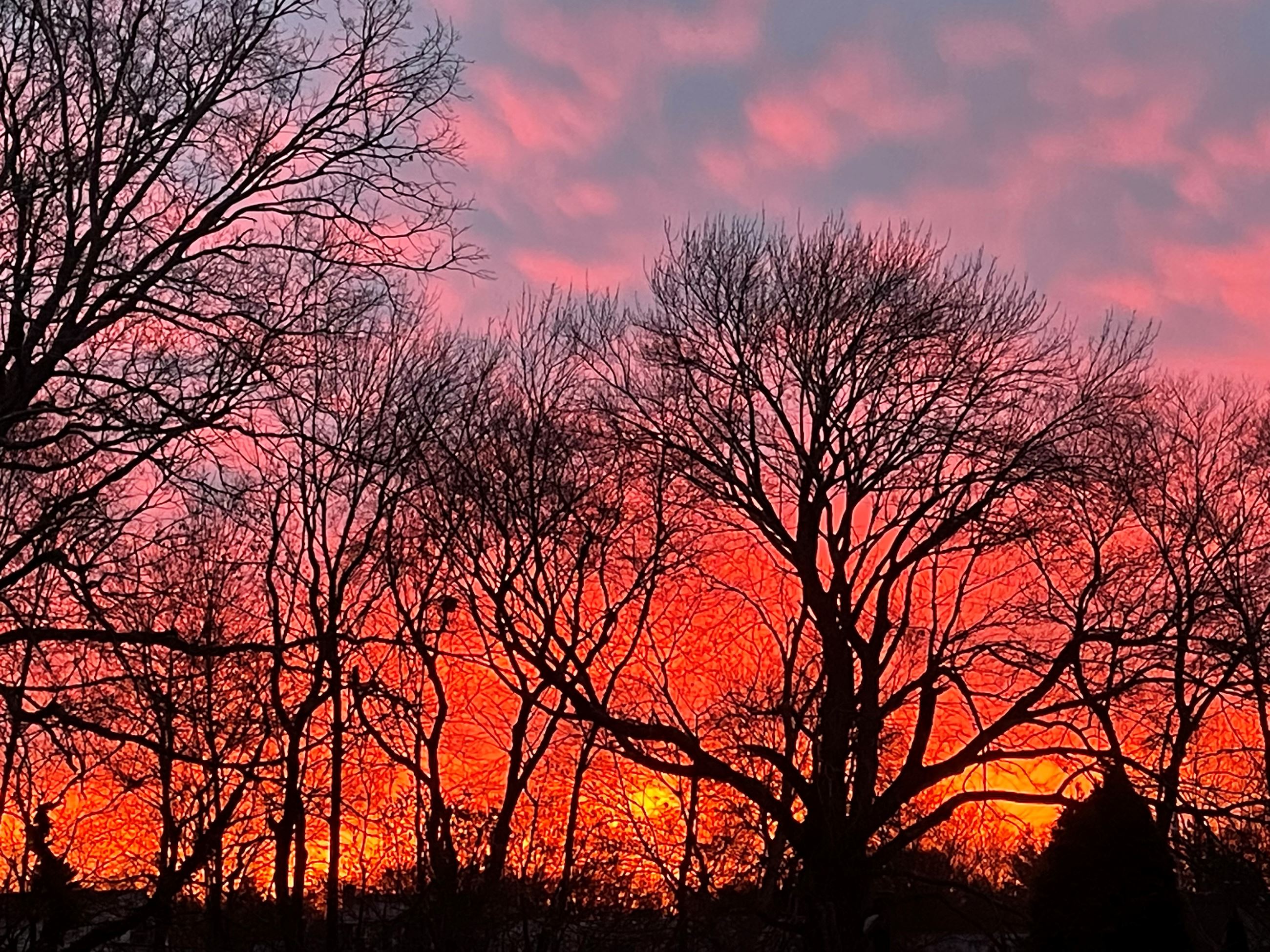 SUNRISE IN WESTFORD NOV 2025