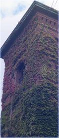 Vines Climbing a Tower in Westford